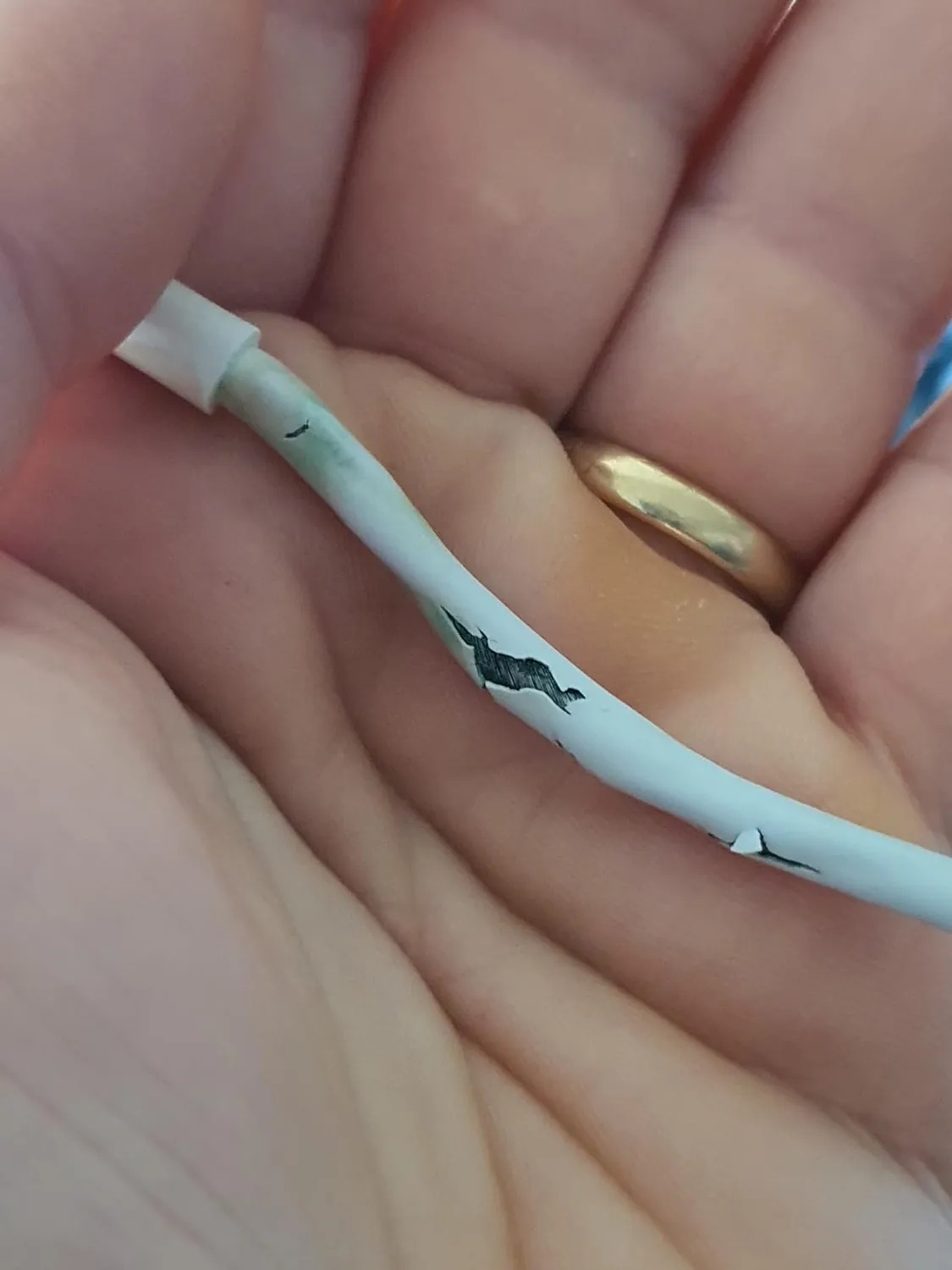 Anker Solix 310 câble USB-C Lightning 1 m MFi