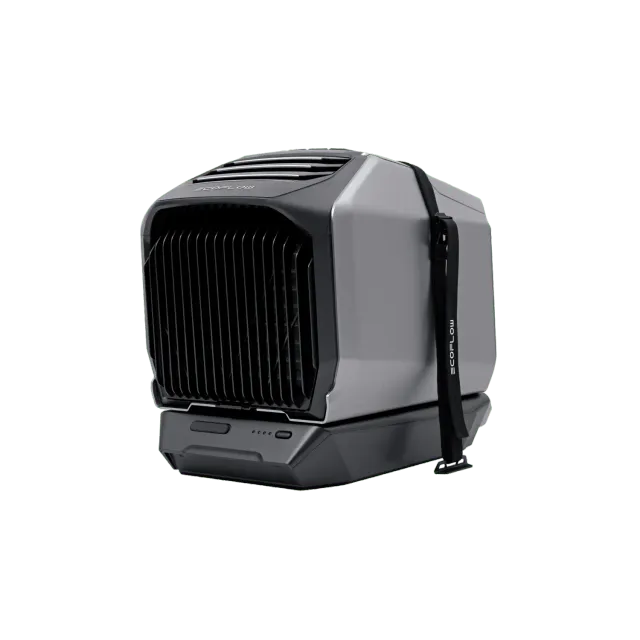 EcoFlow WAVE kit de sangles stabilisatrices noir