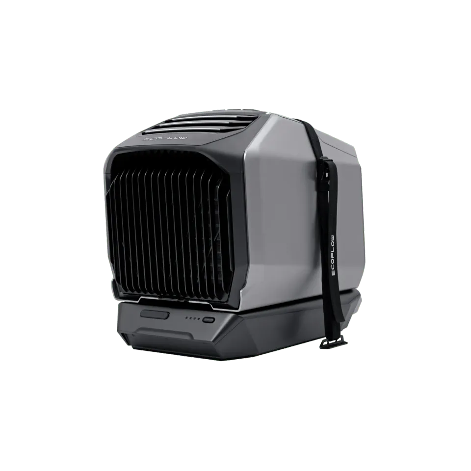 EcoFlow WAVE kit de sangles stabilisatrices noir